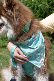 Seaside Sips Dog Bandana & Matching Keychain (Bandana Size: XL - 35in x 17in)