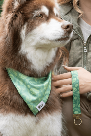 Pine Cone Pup Bandana & Matching Keychain (Bandana Size: S/M - 18in x 10in)