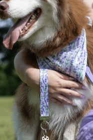 Lavender Blooms Dog Bandana & Matching Keychain (Bandana Size: S/M - 18in x 10in)