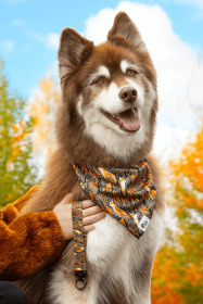 Foxes in Fall Dog Bandana & Matching Keychain (Bandana Size: M/L - 27in x 13in)