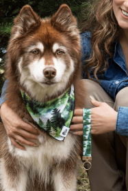 Evergreen Explorer Dog Bandana & Matching Keychain (Bandana Size: S/M - 18in x 10in)