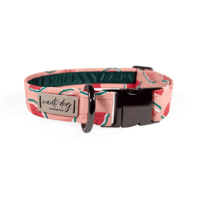 Summer Pink Watermelon Buckle Collar (Style: Buckle, size: L (14-21"))