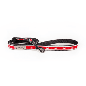 Crabby Red Maryland Crab Coastal Ribbon Dog Leash (Hardware Color: Black Gunmetal)