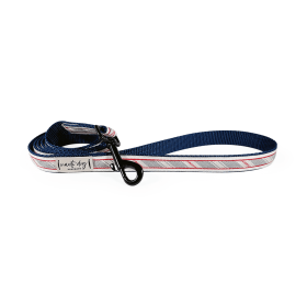 Liberty Patriotic American Woven Stripe Ribbon Dog Leash (Hardware Color: Gold)