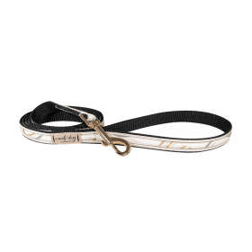 Promise Earthy Boho Rainbow Ribbon Dog Leash (Hardware Color: Gold)