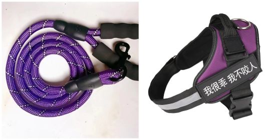 Fashion Simple Pet Leash Chest Strap Set (Option: Purple-XS)